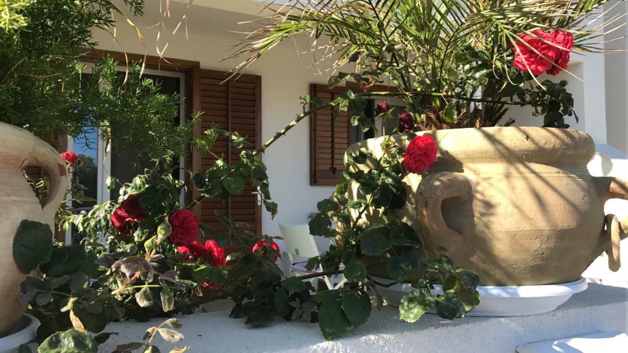 Cima Bianca Bed & Breakfast San Vito Lo Capo Eksteriør bilde