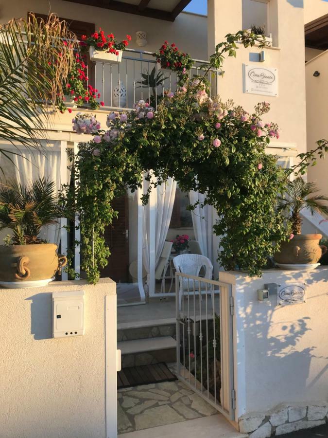 Cima Bianca Bed & Breakfast San Vito Lo Capo Eksteriør bilde